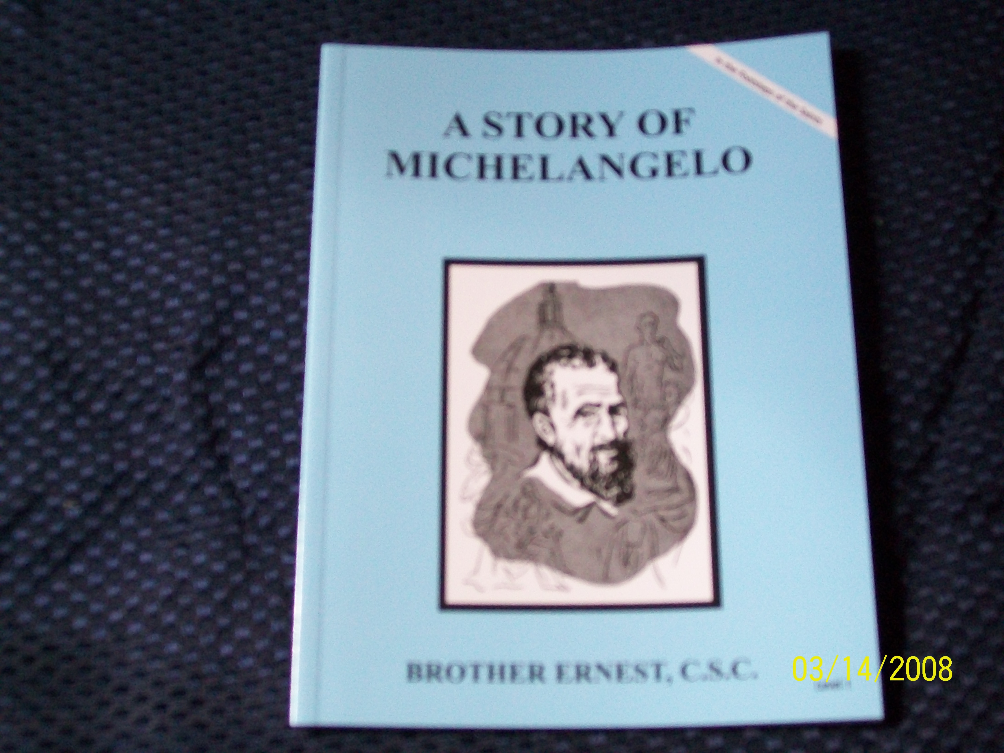 Image for A Story Of Michelangelo